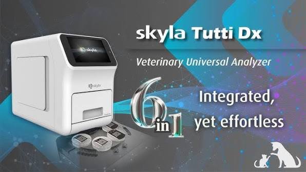 Skyla Tutti Dx